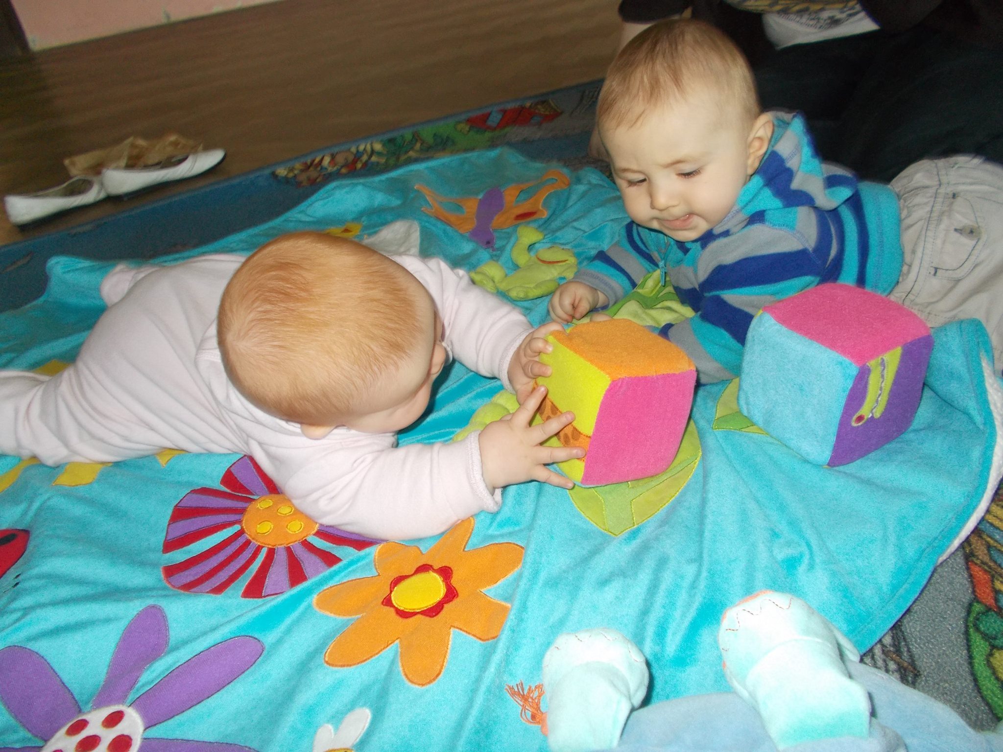 10584464_10204083324797610_428379627_o